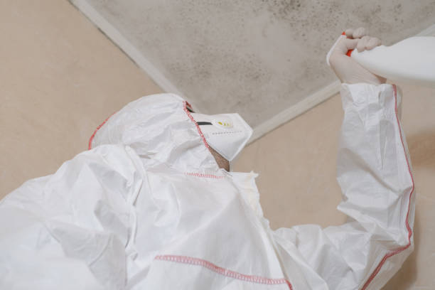 Best Emergency Mold Remediation in Woodbranch, TX